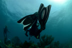Essential Scuba Gear for Beginners: What You Need to Start Diving