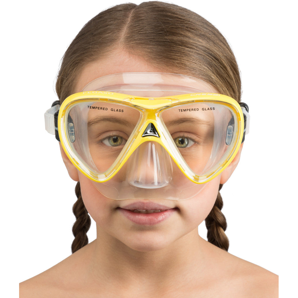 Pegaso & Iguana Semi-Dry