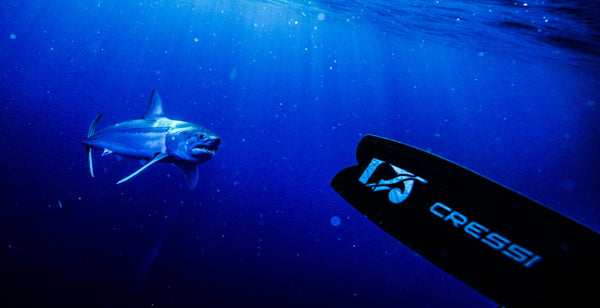 Cressi at Shark Week 2026: Our Ambassadors on Discovery