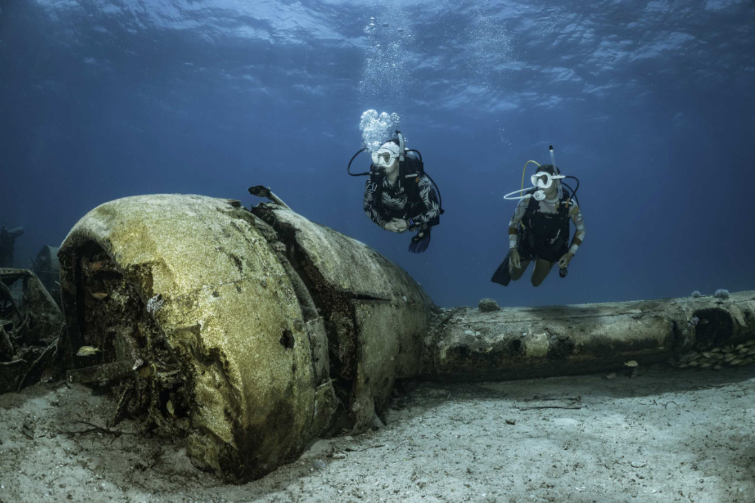 Reef, Wreck, Drift or Shore: How the Environment Changes your Dive