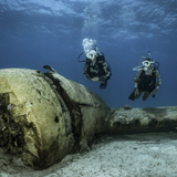 Reef, Wreck, Drift or Shore: How the Environment Changes your Dive