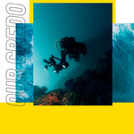 Main thumbnail