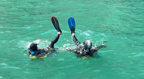 Cressi Maui Fins: Versatility for the Multi-Activity Vacation