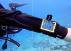 Big-Screen vs. Watch-Style Dive Computers: What's the Real Difference? 