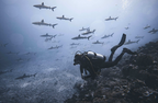 Reef, Wreck, Drift, or Shore: How the Environment Changes Your Dive
