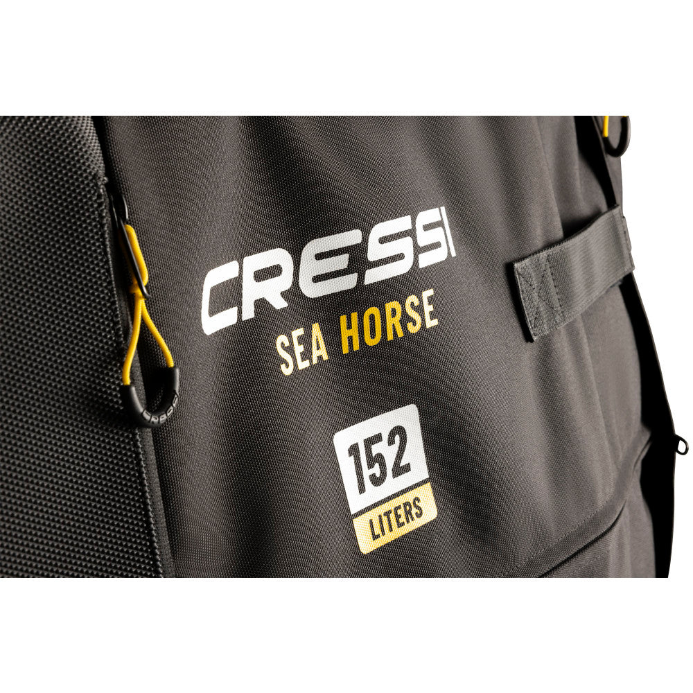 Seahorse